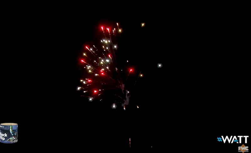 Backflip by Lesli Fireworks